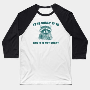 It Is what it is and it is not great, Cartoon Meme Top, Vintage Cartoon Sweater, Unisex Baseball T-Shirt